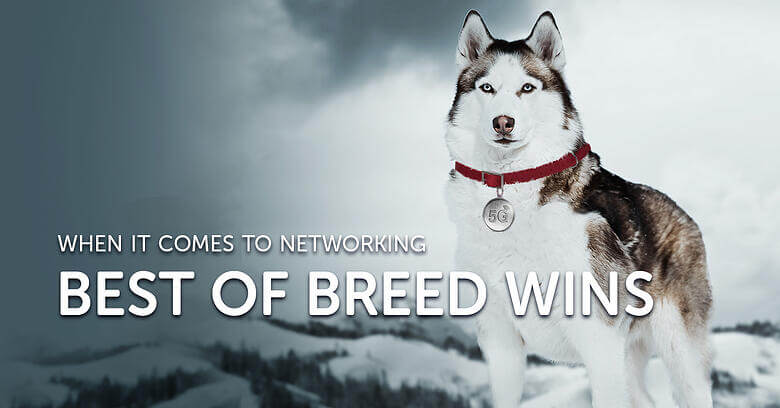 Best of Breed Wins When It Comes to Networking