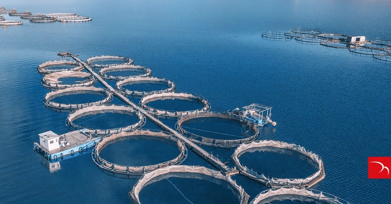 Offshore aquaculture: the need for low-latency, high-bandwidth communications