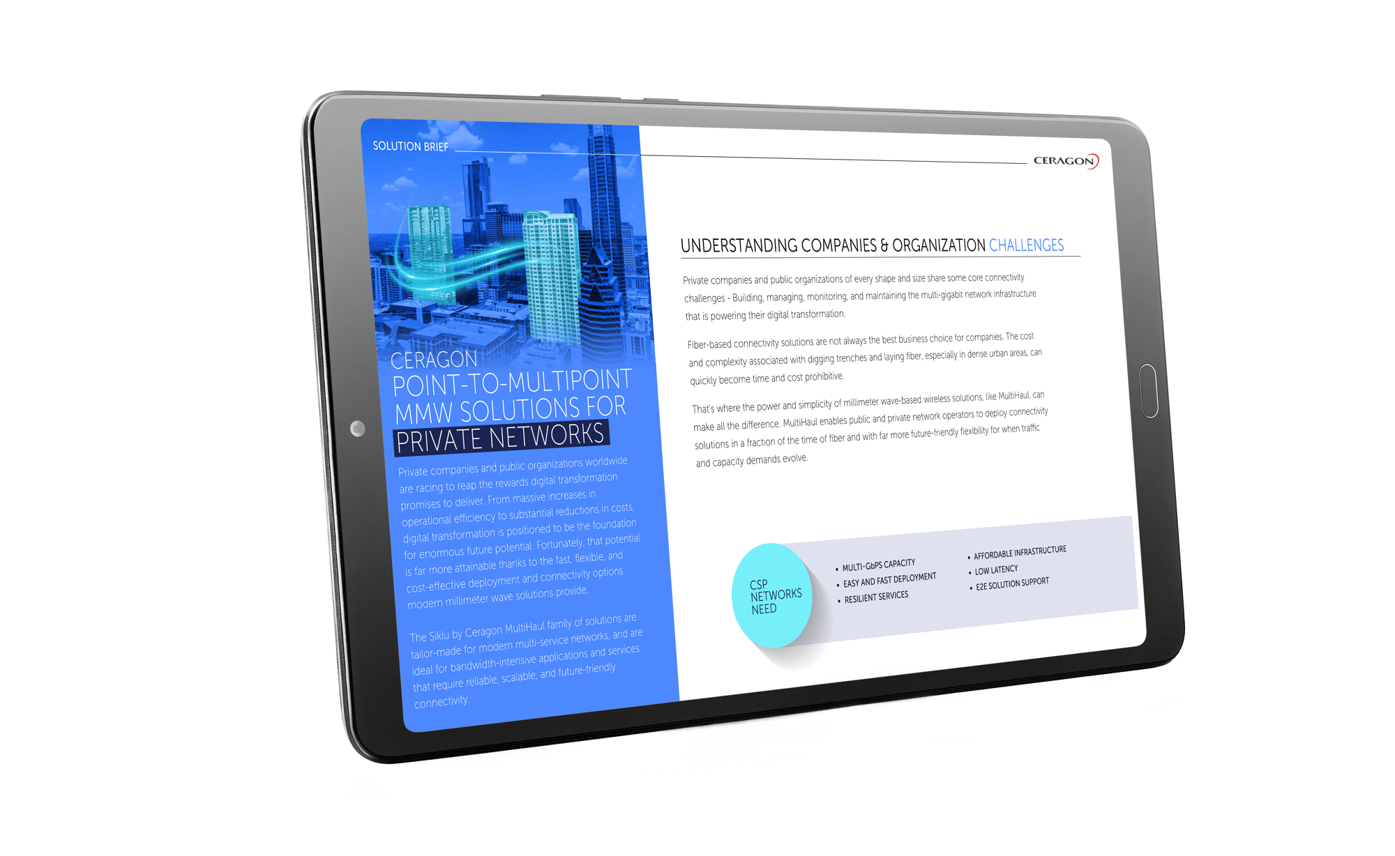 MultiHaul for Private Networks