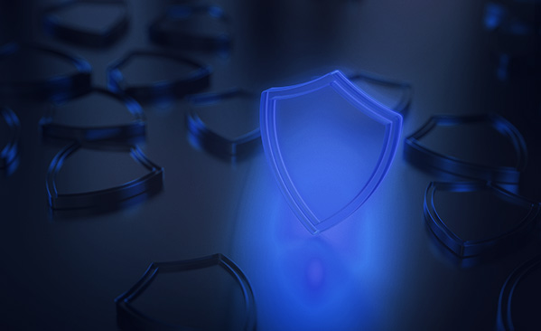 Perimeter Defense Solutions copy