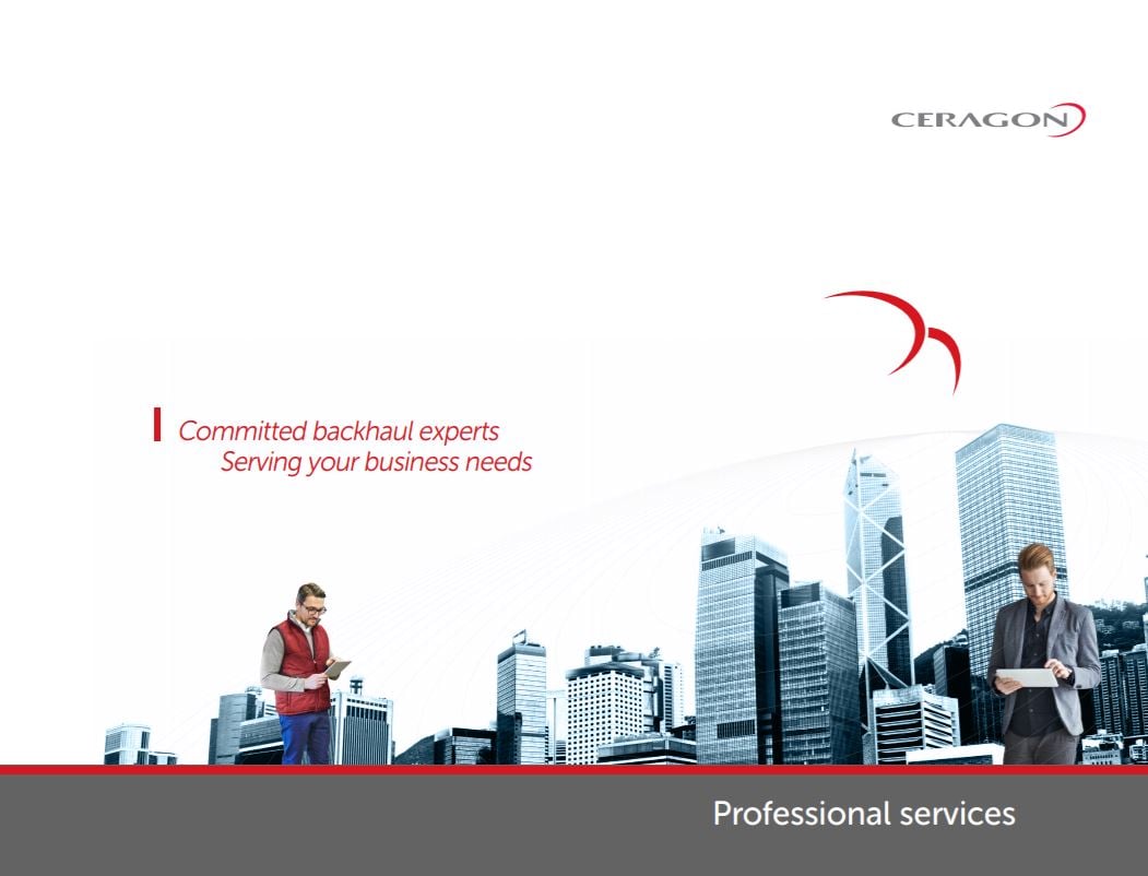 Professional Services_guide