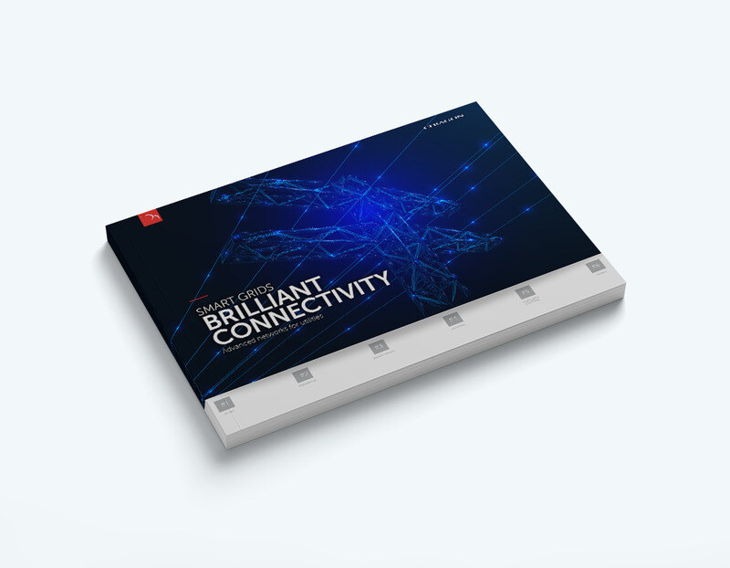 Smart Grids, Brilliant Connectivity End-to-End Networks for Utilities
Smart Grids, Brilliant Connectivity End-to-End Networks for Utilities