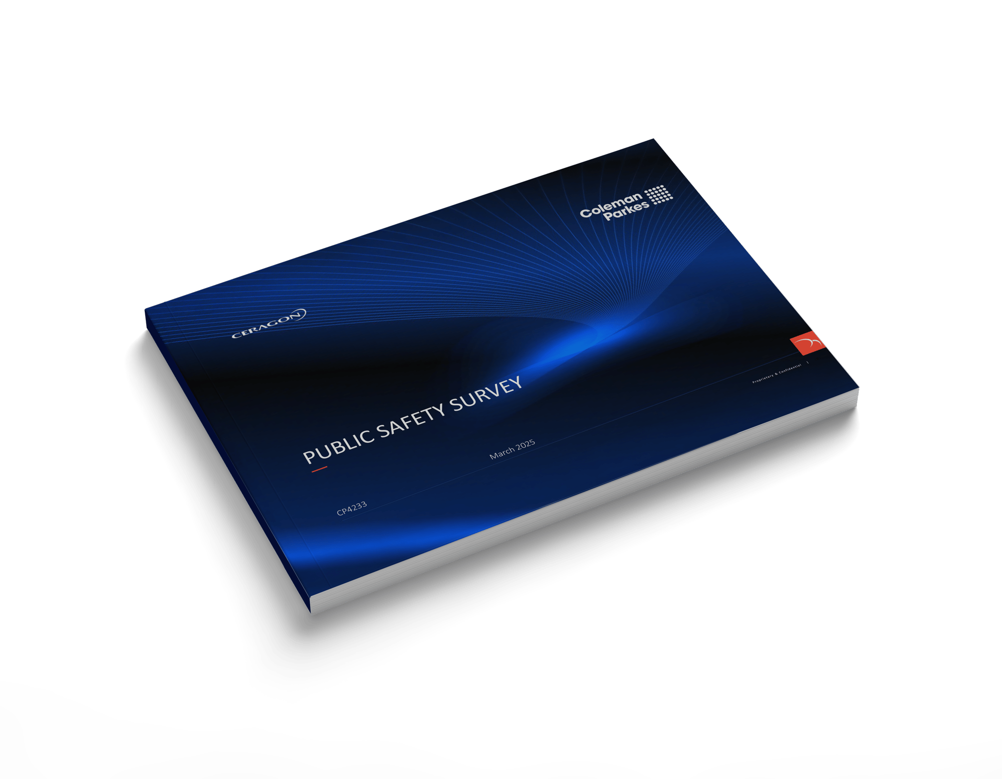 Survey_Public _safety_Mockup-1 Survey_Public _safety_Mockup-1