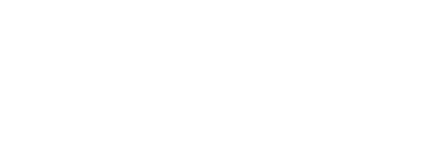 Website_E2E_byCeragon_White