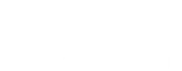 Website_E2E_byCeragon_White (1)