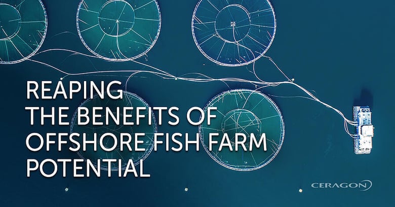 How is wireless connected marine aquaculture  changing the salmon industry?