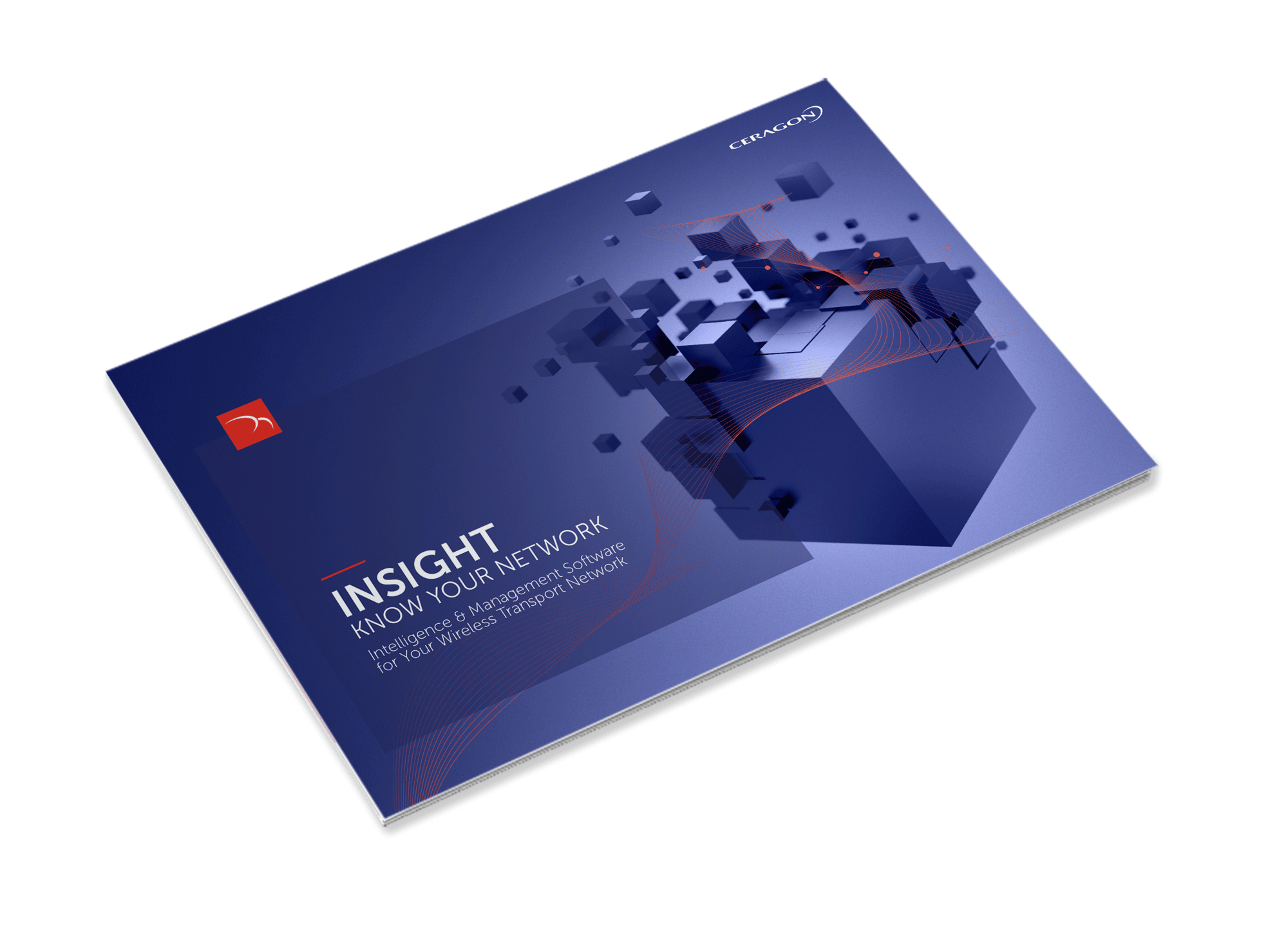 insight brochure insight brochure