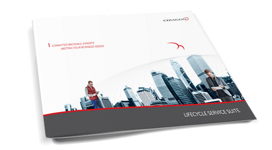 network professional services