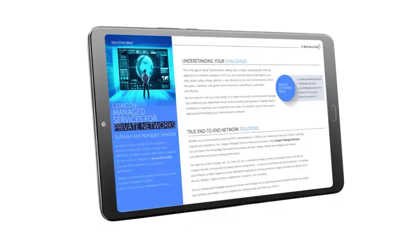managed services private networks managed services private networks