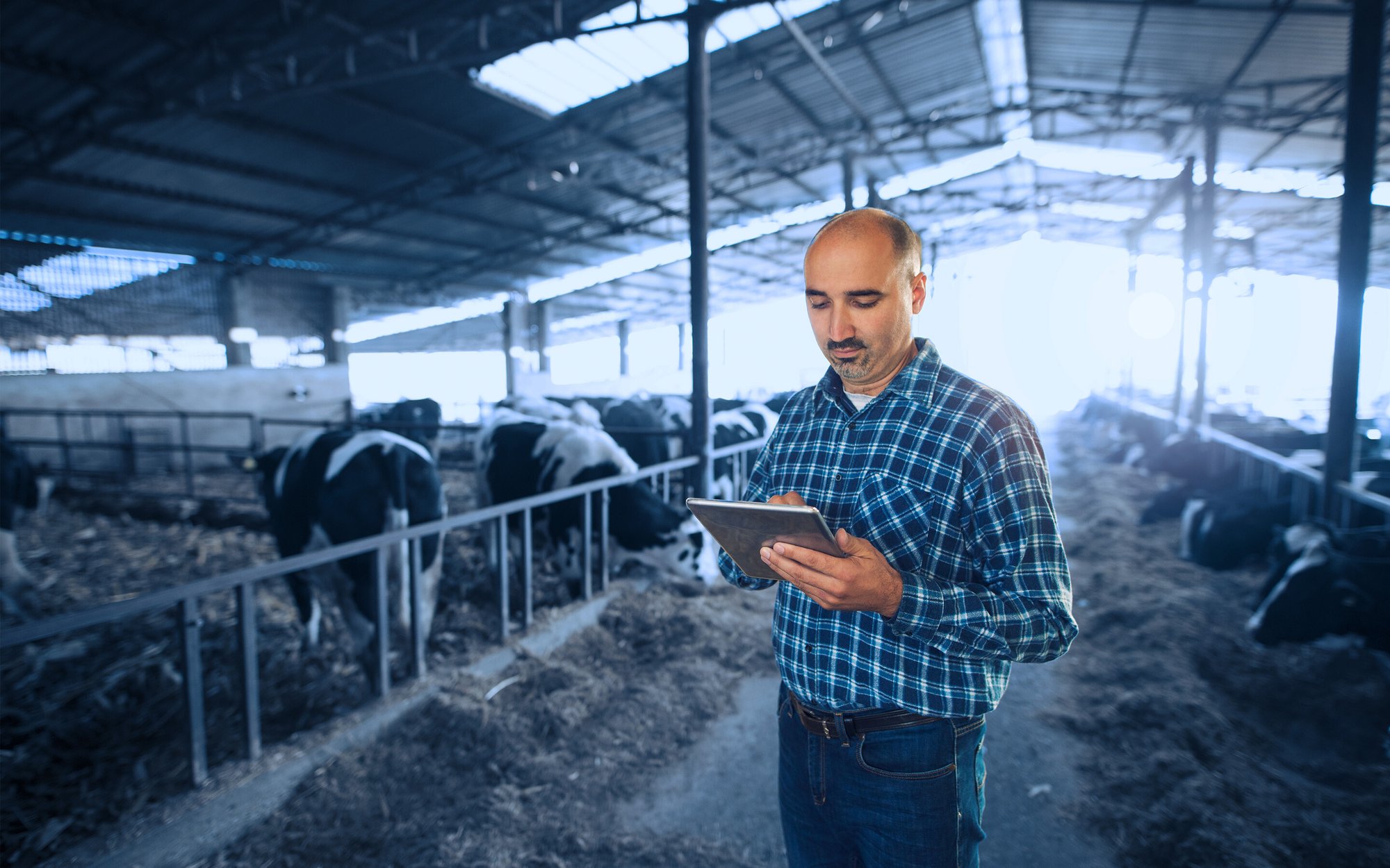 rural ISPs