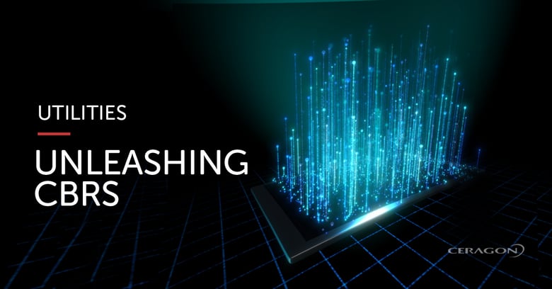 Unleashing CBRS potential for utilities and private networks