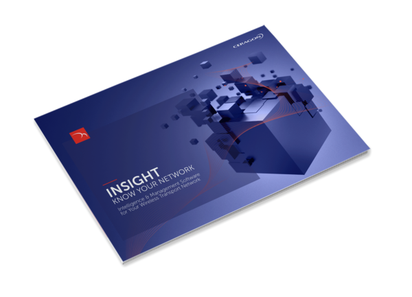 INSIGHT BROCHURE
