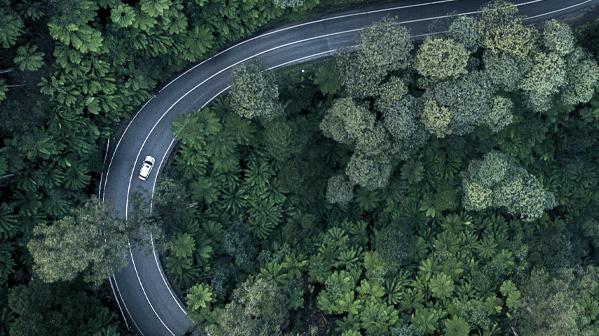 Rural_road_Flip_599W